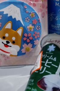 시티뷰