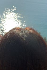 마른 오징어의 모험