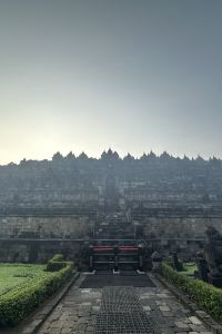 Travel to gain knowledge