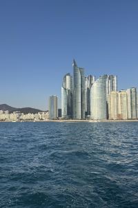 계륵사랑