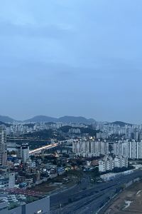 머큐어