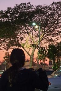 skyjjang