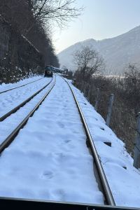 清心旅人