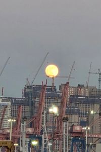 bigKo 한화리조트 제주 쿠폰