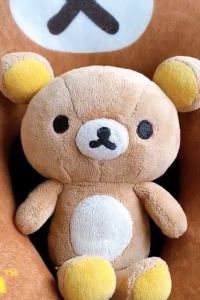 달걀이