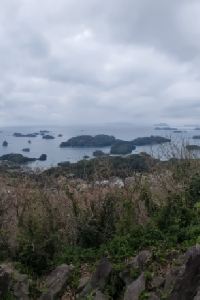 ppittagi
