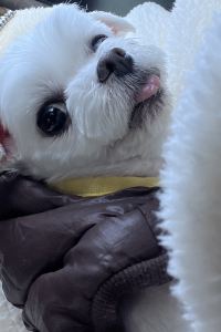 E 롱 E