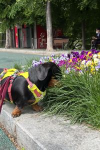 happyjoy 쏘타컬렉션 더 테라스 쿠폰