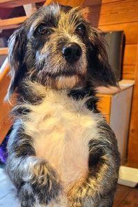 Ika_Elly 阿姆斯特丹史基浦機場宜必思酒店優惠