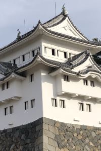 리뷰어