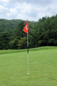 베멋이07 Iksan N Parktel 쿠폰