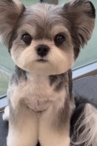 러블리와이