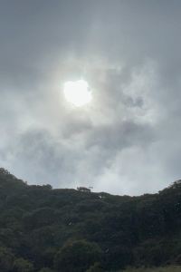 浪漫