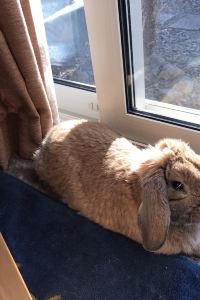 幸せさん 코스테이 게스트하우스 숙대점 쿠폰