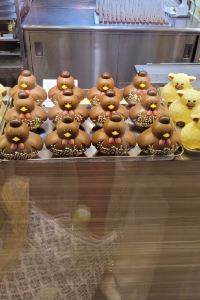 별을좋아하는여행자 토요코인대구동성로 쿠폰