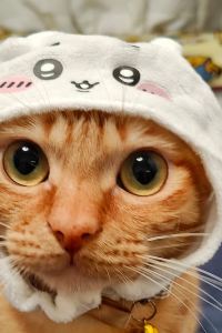 Mak family 2월호텔 동대구점 쿠폰