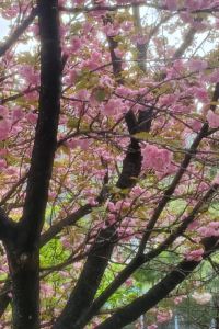 simwal27 에그하우스 남이섬 게스트하우스 - 호스텔 쿠폰