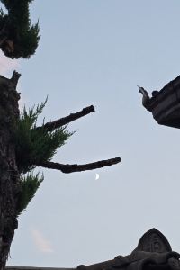 해별바다 더머뭄 쿠폰