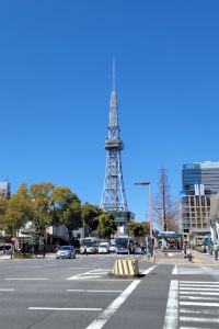 오늘도 떠나자 동해 애슈리모텔 쿠폰