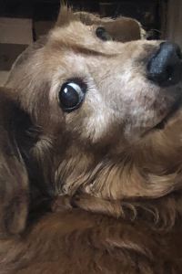 kz_rocchi 메이원 호텔 쿠폰