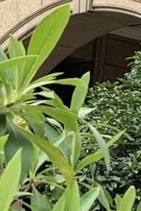 李世芬 奇異果快捷旅店(臺中站前二館)優惠