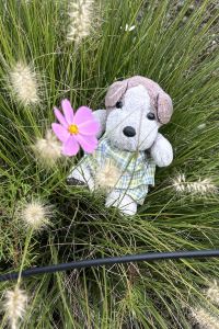 ぶっちゅ ラ・ジェント・ホテル大阪ベイ クーポン