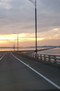 폴리스