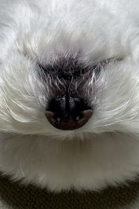 뭉뭉몽몽