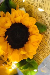 Nicole L.cy 香港銅鑼灣利景酒店優惠