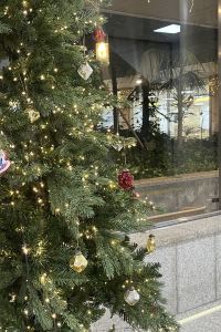 greetthemoon