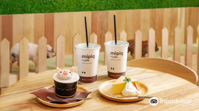 4_mipig cafe