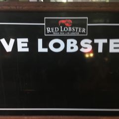 Red Lobster 여행 사진