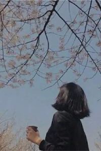 Fengmoqingtai~