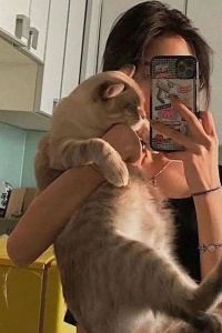 리뷰어