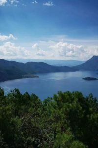 M526441**** 나디아펜션 쿠폰