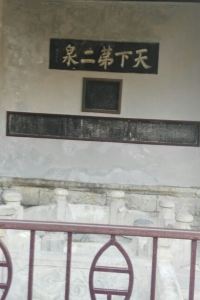 WangfeiLawrence