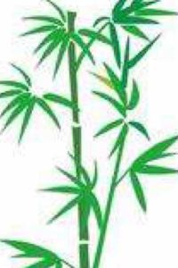 1866333**** 梅迪奧蘭酒店優惠