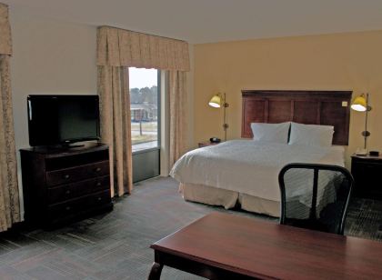 햄프턴 인 & 스위트 노퍽-에어포트