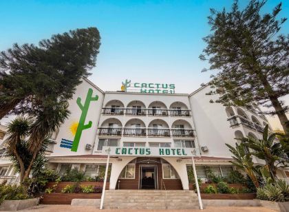 Cactus