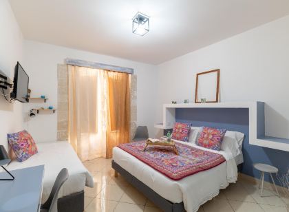 艾爾莎多爾蒂賈