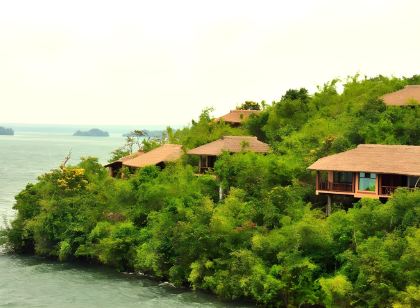 The River Tern Lodge - Junglelodges