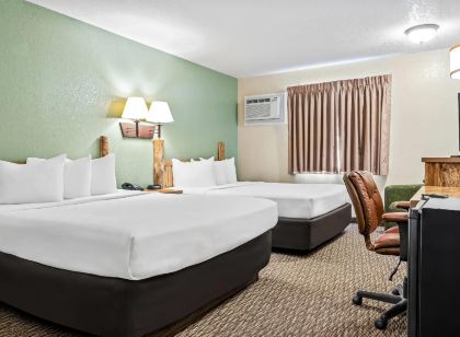 이코노 로지 커스터