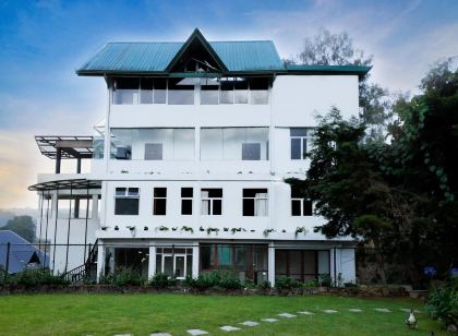 Tea Mount Forest