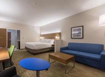 홀리데이 인 익스프레스 & 스위트 - 샌 마르코스 사우스