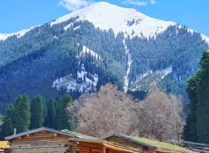 瓊庫什台雪杉度假民宿