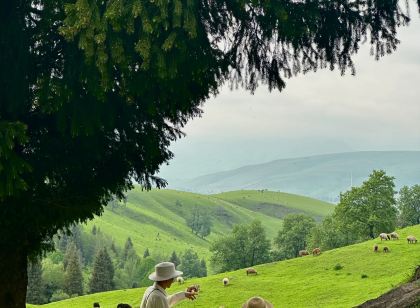 豐寧格桑花·雲畔Retreat全景美宿(大灘鎮店)