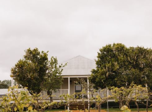 Ampersand Estates Luxury Cottage Nestled in National Forest