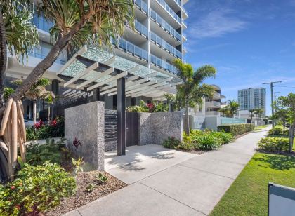 Verve on Cotton Tree