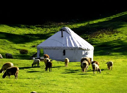 Banhu Chaomu Homestay (Sayram Lake Scenic Area)