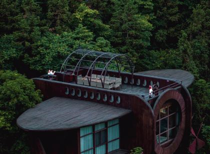 Ziyoujia · Tree house World